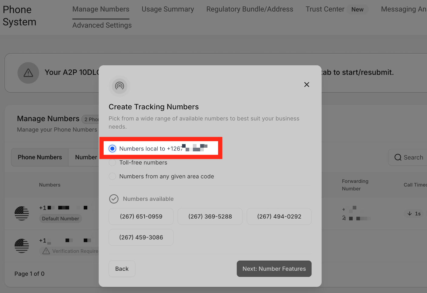 Local Numbers Selection Options for selecting local phone numbers for the tracking pool