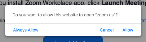 Browser prompt asking to 'Open Zoom Meetings' application for a full Zoom experience.